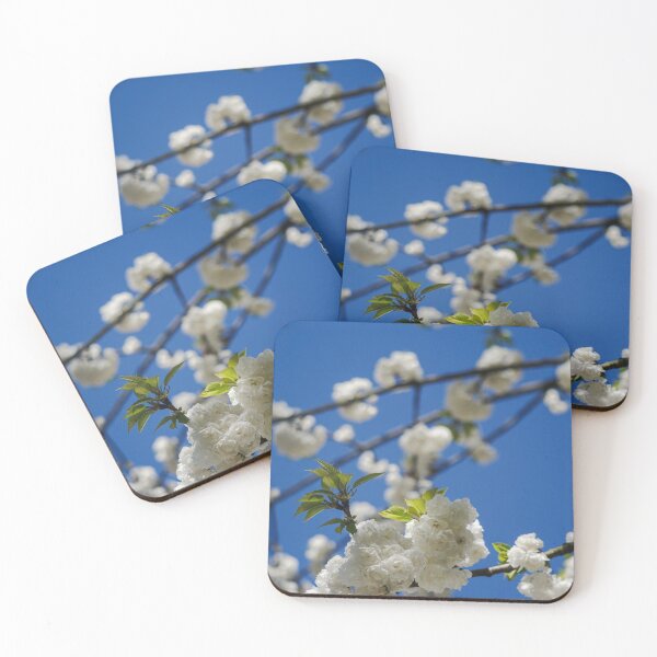 Item preview, White Cherry Blossoms Against a Clear Blue Sky designed and sold by pigeonlovrs.