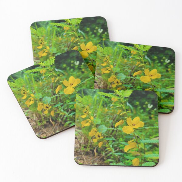 Item preview, Partridge Pea designed and sold by Lunar Bound Imagery .