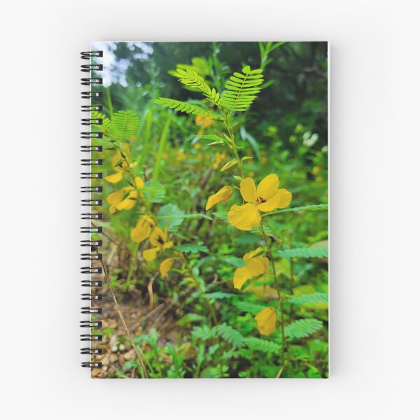Item preview, Partridge Pea designed and sold by Lunar Bound Imagery .