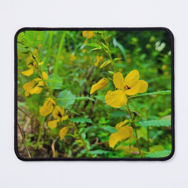 Item preview, Partridge Pea designed and sold by Lunar Bound Imagery .