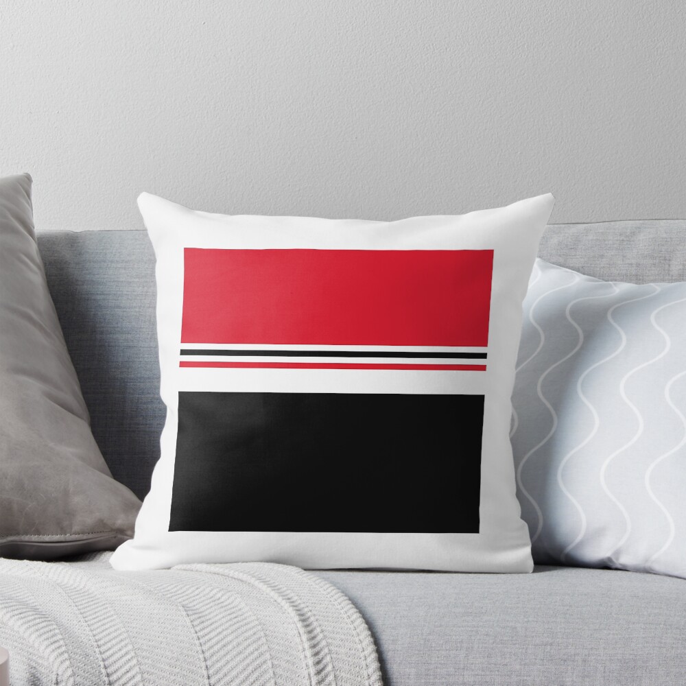 Aperçu de l'œuvre Coussin créée et vendue par colionjosho.