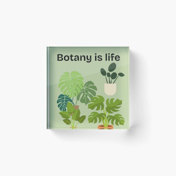 Item preview, Botany Is Life Monstera Houseplants Aesthetic designed and sold by Cozy Moss Studio.