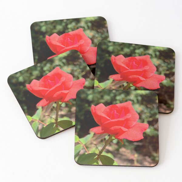 Item preview, Red Rose Bloom Romantic Garden Flower Photography designed and sold by Be Captured by Brittany Emma.