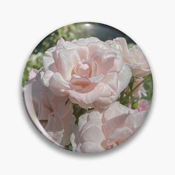 Item preview, Soft Blush Pink Roses Cottage Garden Floral Photography designed and sold by Be Captured by Brittany Emma.