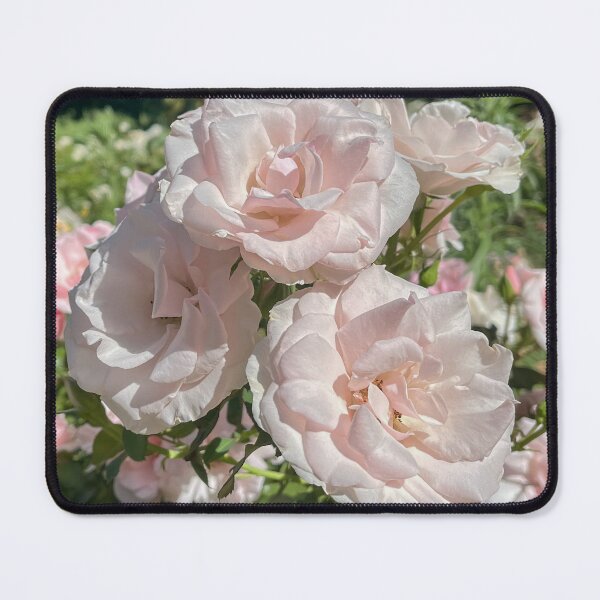Item preview, Soft Blush Pink Roses Cottage Garden Floral Photography designed and sold by Be Captured by Brittany Emma.