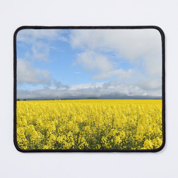 Item preview, Fields of Sunshine designed and sold by Yolanda Caporn Art.