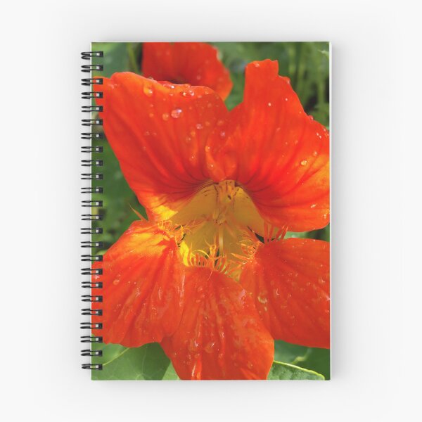 Item preview, Fire Orange Flower designed and sold by CalmnessbyChoice.