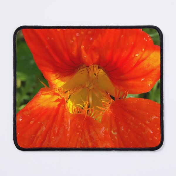 Item preview, Fire Orange Flower designed and sold by CalmnessbyChoice.