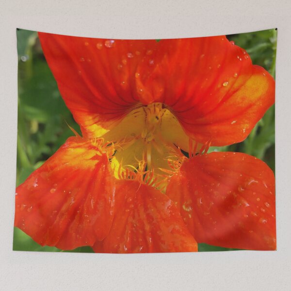 Item preview, Fire Orange Flower designed and sold by CalmnessbyChoice.