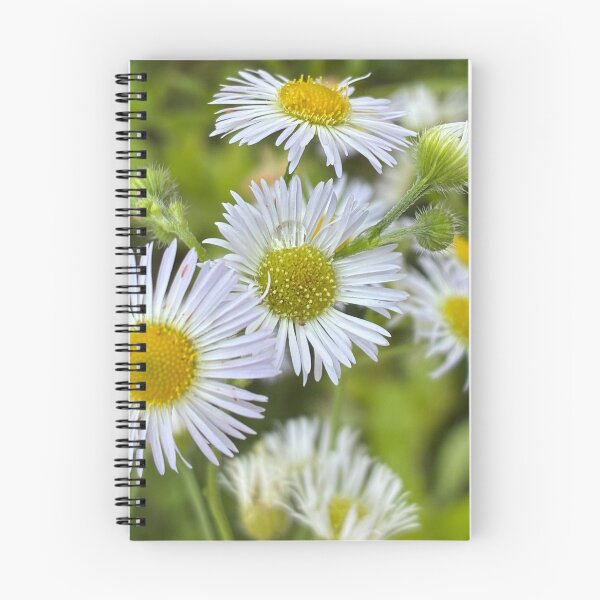 Item preview, Daisy  designed and sold by Suzanne Lapila.
