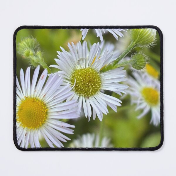 Item preview, Daisy designed and sold by Suzanne Lapila.
