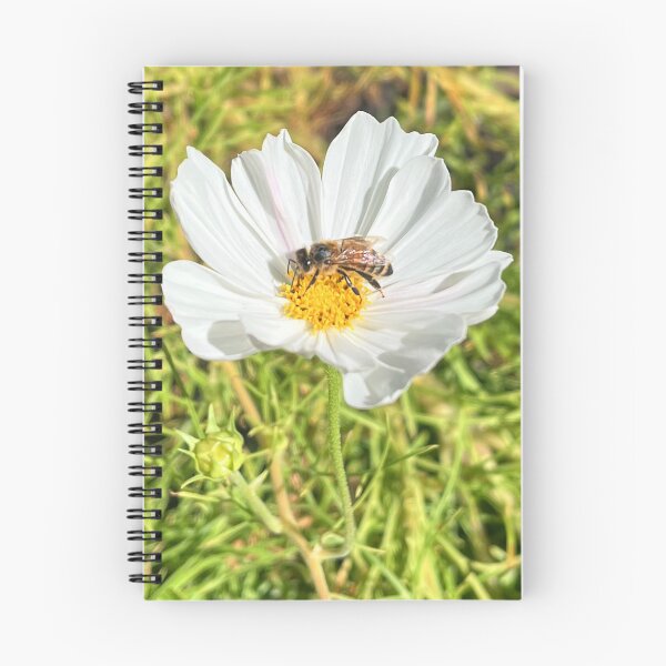 Item preview, Honey Bee on White Cosmos Flower Nature Photography designed and sold by Be Captured by Brittany Emma.