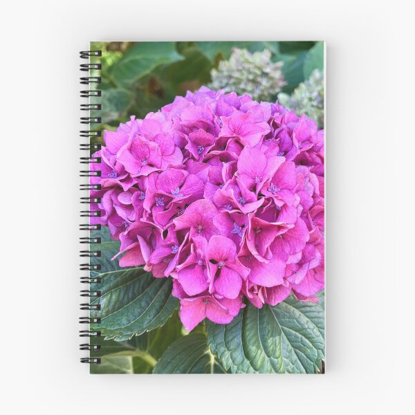 Item preview, Vibrant Pink Hydrangea Botanical Flower Photography designed and sold by Be Captured by Brittany Emma.