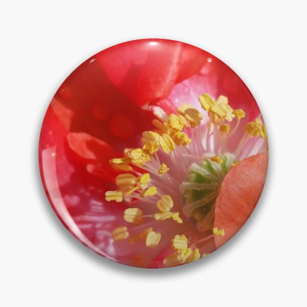 Item preview, Flower Waterdrops Closeup designed and sold by CalmnessbyChoice.
