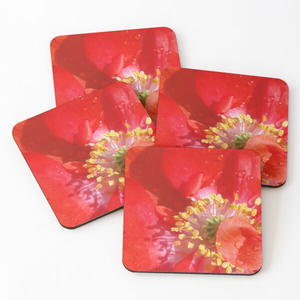 Item preview, Flower Waterdrops Closeup designed and sold by CalmnessbyChoice.