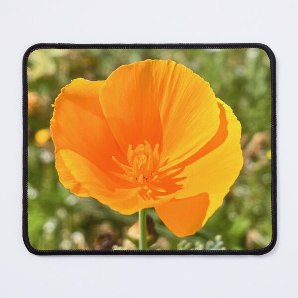 Item preview, Orange California Poppy Wildflower Botanical Photography designed and sold by Be Captured by Brittany Emma.