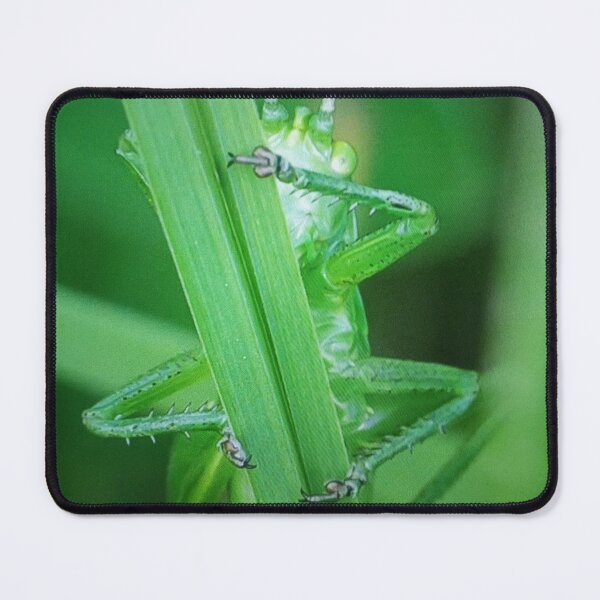 Item preview, Grasshopper Hiding Behind a Blade designed and sold by hkodresx.