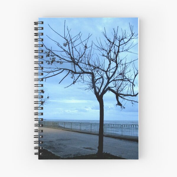 Item preview,  SEASCAPE designed and sold by CDG142.