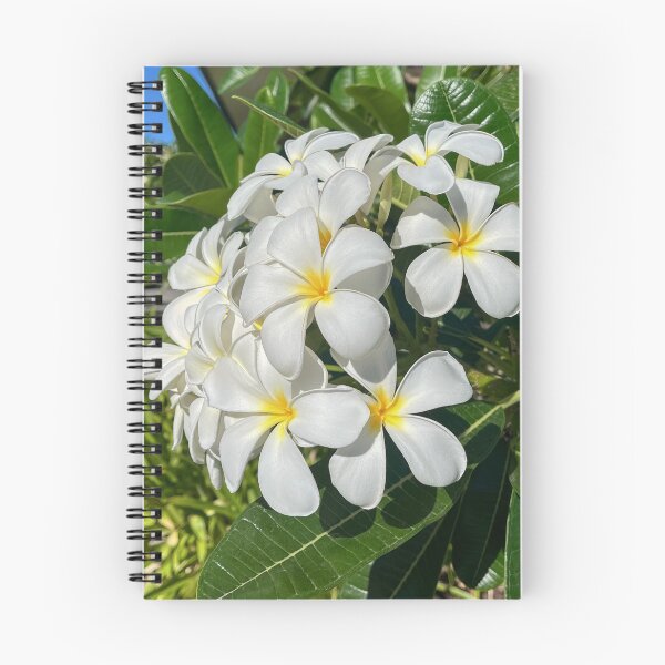 Item preview, White Frangipani Tropical Flower Botanical Photography designed and sold by Be Captured by Brittany Emma.