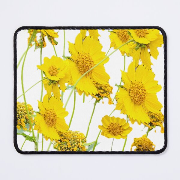 Item preview, Golden crownbeard Daisies designed and sold by Sallygoartsy.