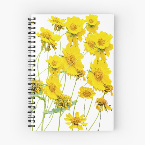 Item preview, Golden crownbeard Daisies designed and sold by Sallygoartsy.
