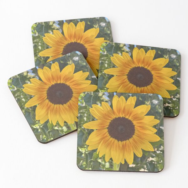 Item preview, Bright Yellow Sunflower Botanical Nature Photography designed and sold by Be Captured by Brittany Emma.