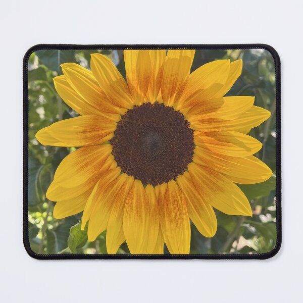 Item preview, Bright Yellow Sunflower Botanical Nature Photography designed and sold by Be Captured by Brittany Emma.