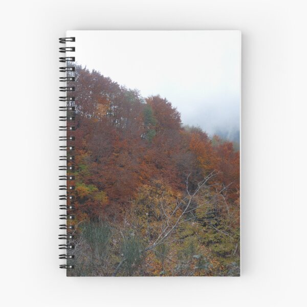 Artikelvorschau, BERGLANDSCHAFT entworfen und verkauft von CDG142.