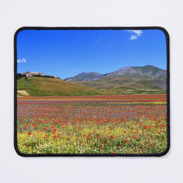 Item preview, Flowering 2026 in Castelluccio di Norcia designed and sold by annalisa56.