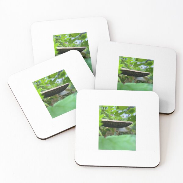 Item preview, Mushroom in Nature designed and sold by ForestedDesigns.