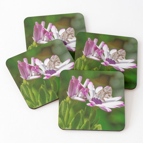 Item preview, Geranium Bronze on Purple Daisy designed and sold by Ralph Goldsmith.