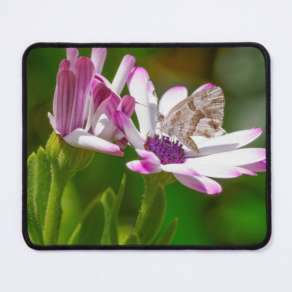 Item preview, Geranium Bronze on Purple Daisy designed and sold by Ralph Goldsmith.