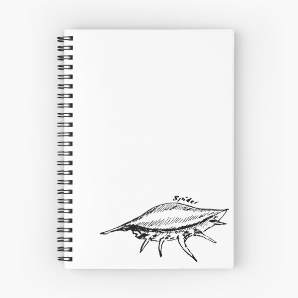 Item preview, Spider Shell Line Art – Coastal Seashell Illustration designed and sold by ArtwithKellie.