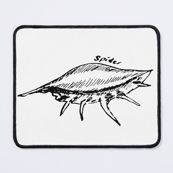 Item preview, Spider Shell Line Art – Coastal Seashell Illustration designed and sold by ArtwithKellie.