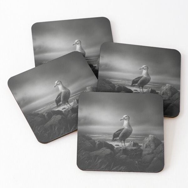 Item preview, A proud Albatross standing on coastal rocks, Birds in Motion designed and sold by CDC40.