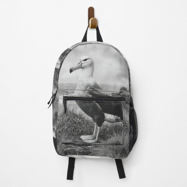 Item preview, A proud Albatross standing on coastal rocks, Birds in Motion designed and sold by CDC40.