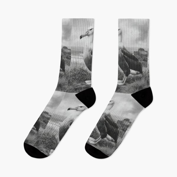 Item preview, A proud Albatross standing on coastal rocks, Birds in Motion designed and sold by CDC40.