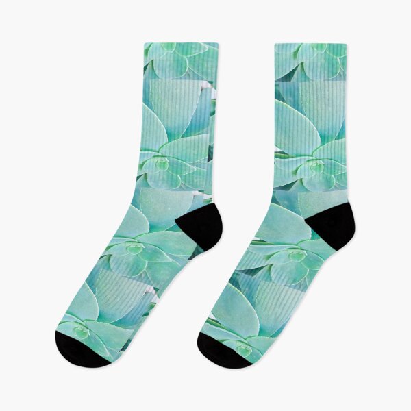 Item preview, Minimalist Mint Green Succulent Digital Painting Art designed and sold by BalkanBloom.