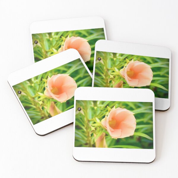 Item preview, Peach Bloom Coloured Flower designed and sold by Likoca Photography.