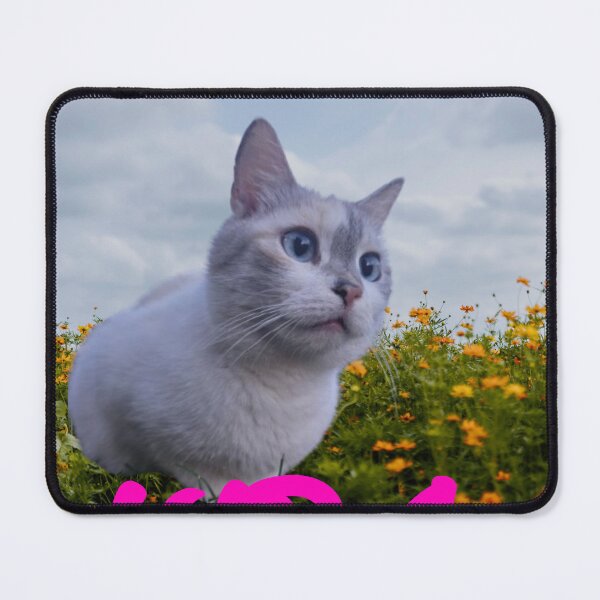 Item preview, Kira: Cat Standby Mode - Funny Aesthetic Cat Art designed and sold by V8Green.
