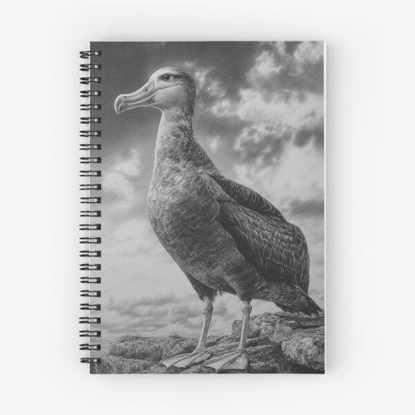 Item preview, A proud Albatross standing on coastal rocks, Birds in Motion designed and sold by CDC40.