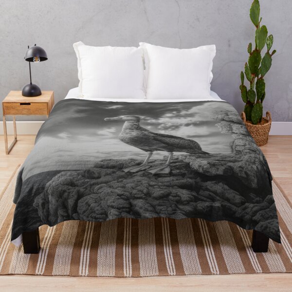 Item preview, A proud Albatross standing on coastal rocks, Birds in Motion designed and sold by CDC40.