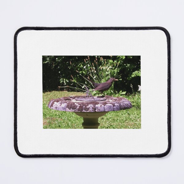 Item preview, Garden Blackbird (Turdus merula) designed and sold by ruffinathisarts.