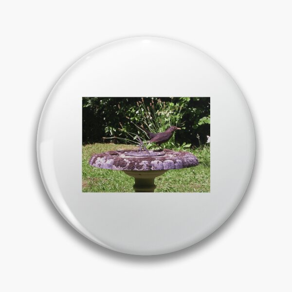Item preview, Garden Blackbird (Turdus merula) designed and sold by ruffinathisarts.