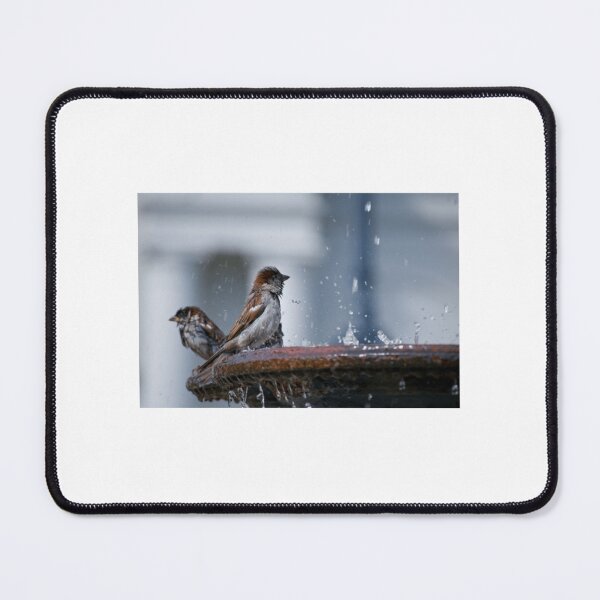 Item preview, Sparrows Bathing in a Fountain designed and sold by ruffinathisarts.