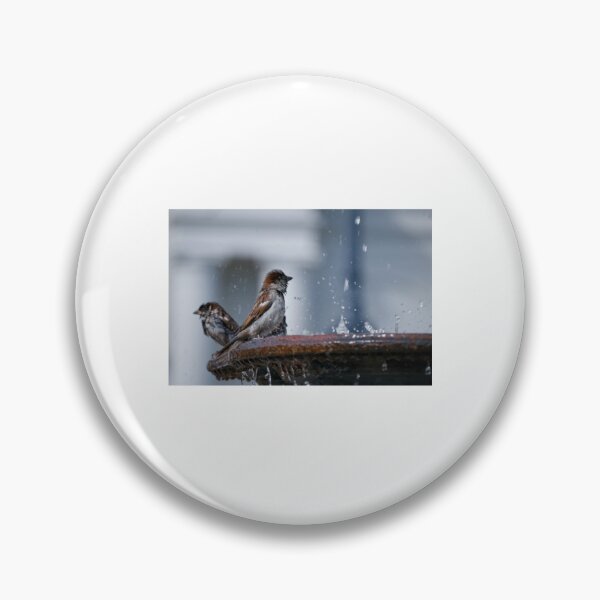 Item preview, Sparrows Bathing in a Fountain designed and sold by ruffinathisarts.