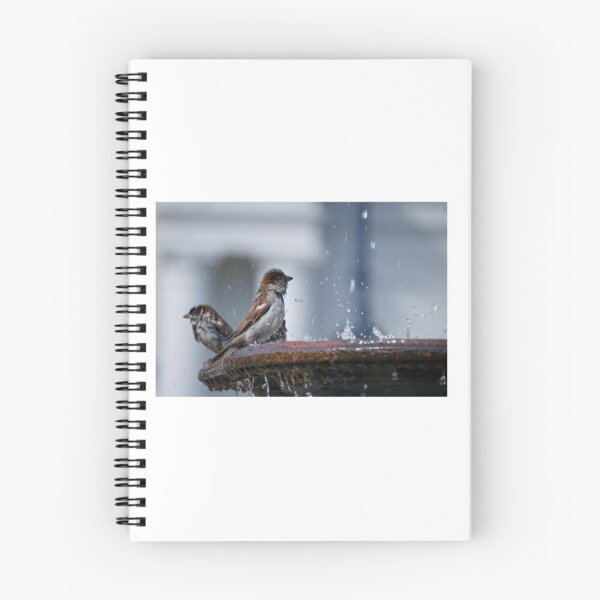 Item preview, Sparrows Bathing in a Fountain designed and sold by ruffinathisarts.
