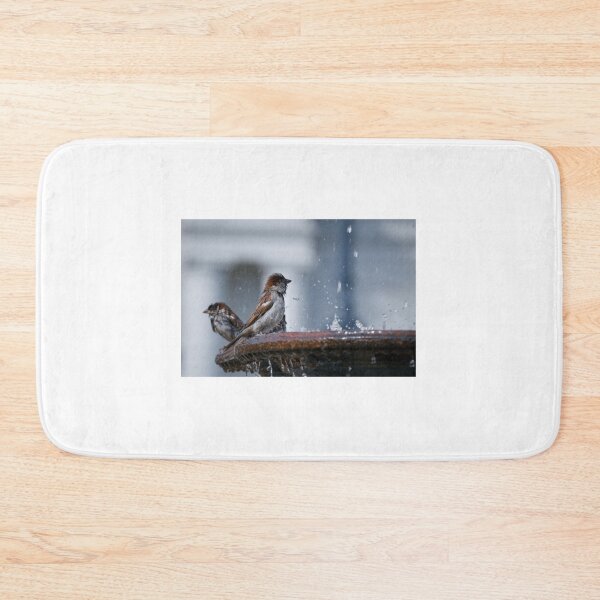 Item preview, Sparrows Bathing in a Fountain designed and sold by ruffinathisarts.