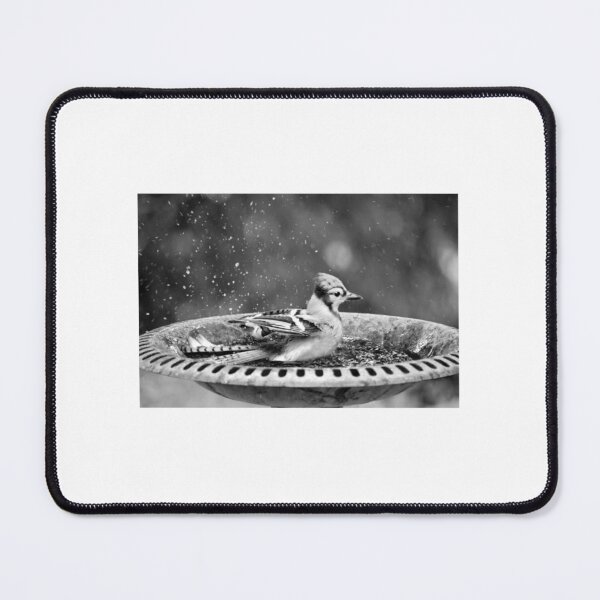 Item preview, Blue Jay Bathing in Bird Bath designed and sold by ruffinathisarts.
