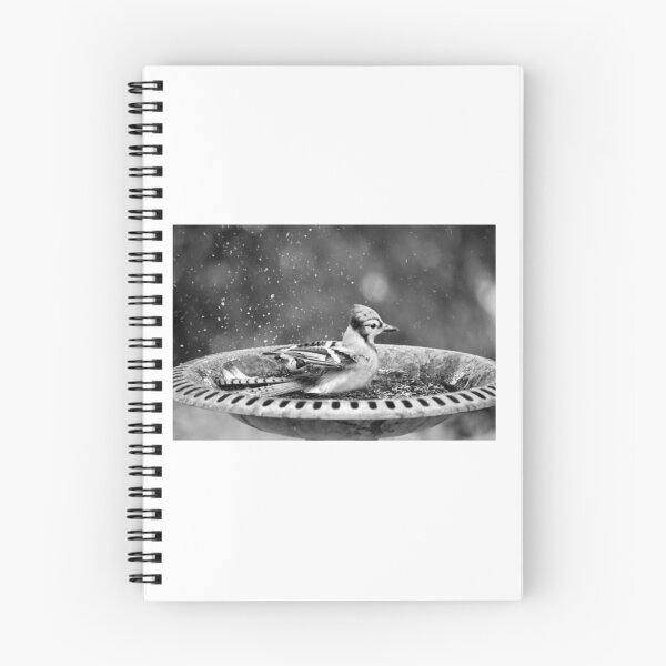 Item preview, Blue Jay Bathing in Bird Bath designed and sold by ruffinathisarts.